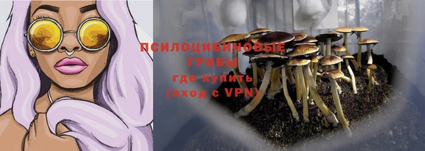 ECSTASY Зеленокумск