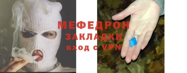 гидра Щигры