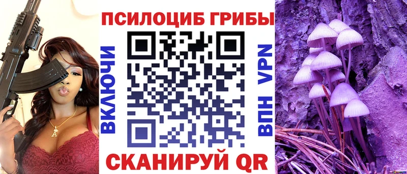 Галлюциногенные грибы Psilocybine cubensis  наркотики  hydra зеркало  Иннополис 
